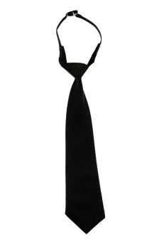 картинка Галстук ОХРАННИК форменный цв. черный от магазина ПРОФИ+